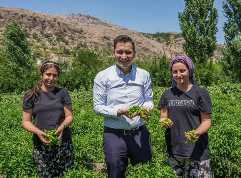 Sezonu geldi: Haftada 250 kilogramı Almanya ve İsviçre'ye yollanıyor - Fotoğraf: 5